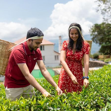 Lost & Found Hostels - Mandaramnuwara Mandaran Newara 외부 사진